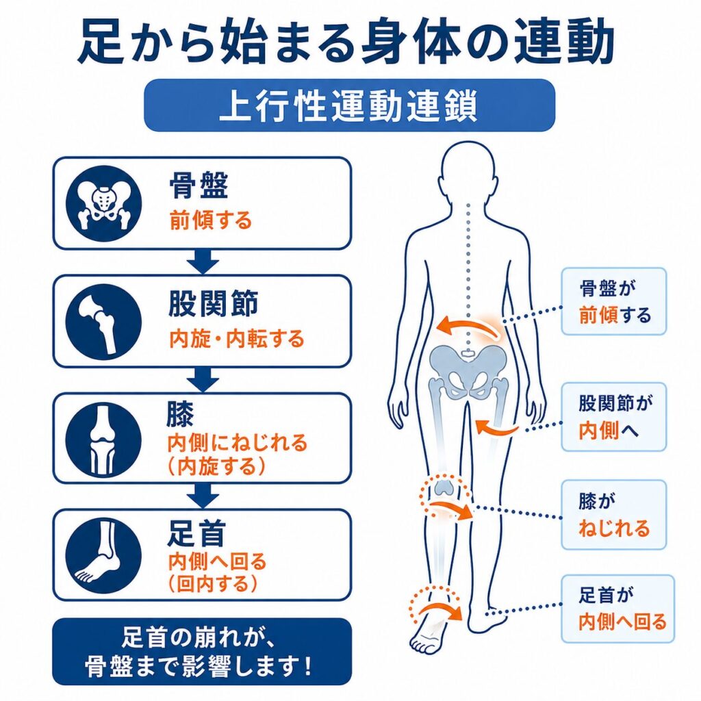 上行性運動連鎖