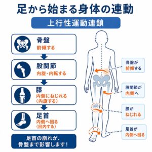 上行性運動連鎖