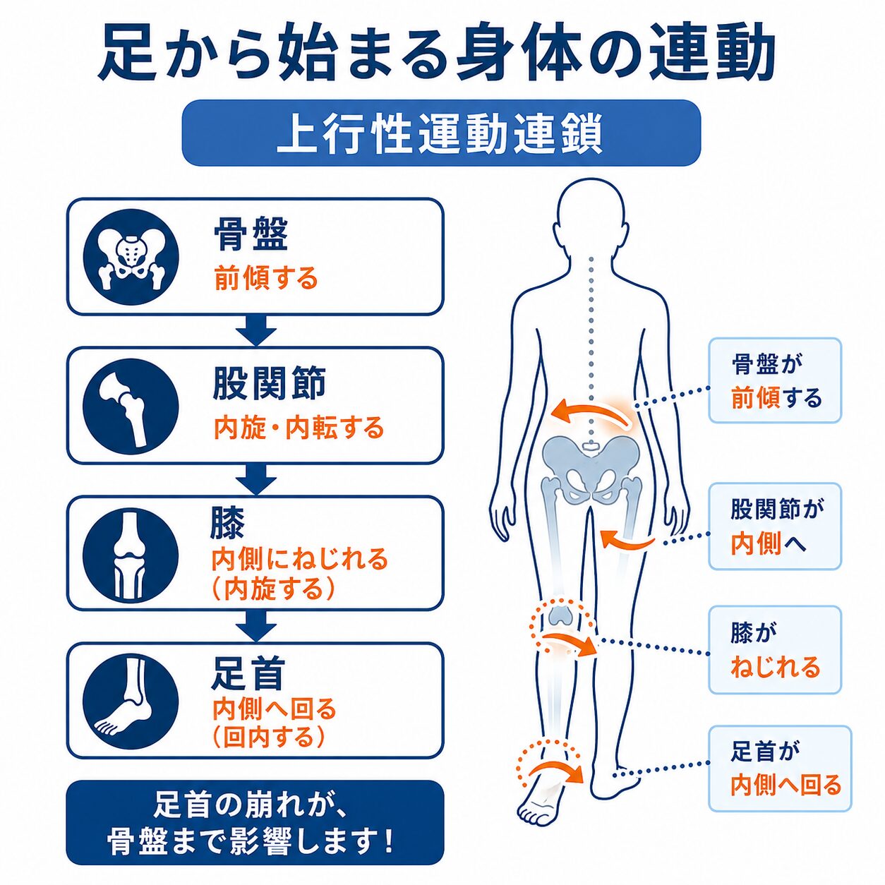 上行性運動連鎖