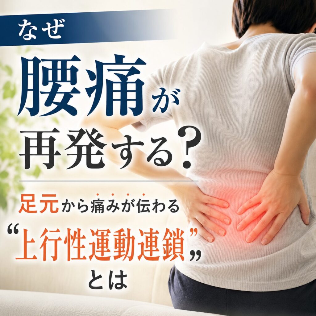 なぜ腰痛が再発する?その答えは足元からの捻じれが原因かも。上行性運動連鎖
